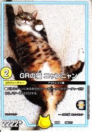 GRの猫　ニャンニャン:ニャンコレイジ(DMEX08-246)