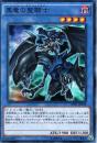黒竜の聖騎士:ナイト・オブ・ブラックドラゴン(CPD1-18S)