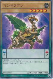 マンドラゴン(DF16-03)