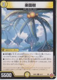 楽園樹:ココナッツ・ベイベー(DM25RP2-53C)