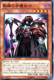 熟練の赤魔術士(DOCS-36)