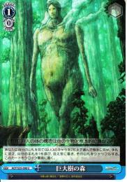 巨大樹の森(AOT/S35-098U)