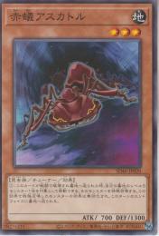 赤蟻アスカトル(SD46-20)