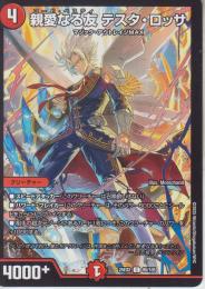 親愛なる友テスタ・ロッサ:コード・ベスティ(DM25EX2-95C)