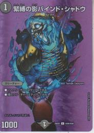 緊縛の影バインド・シャドウ(DM25EX2-超49C)