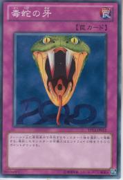 毒蛇の牙(TP13-12)